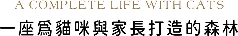 A Complete Life With Cats，一座為貓咪與家長打造的森林
