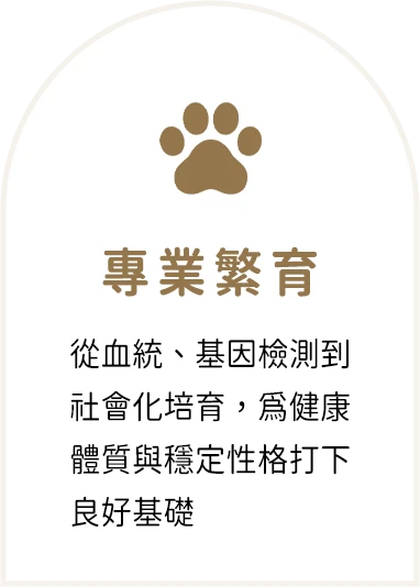 專業繁育：從血統、基因檢測到社會化培育，為健康體質與穩定性格打下良好基礎