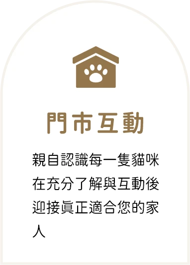 門市互動：親自認識每一隻貓咪，在充分了解與互動後迎接真正適合您的家人
