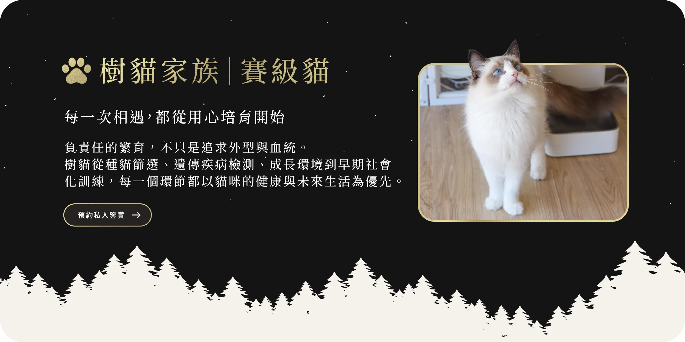 樹貓家族賽級殿堂