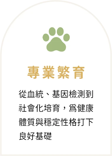 專業繁育：從血統、基因檢測到社會化培育，為健康體質與穩定性格打下良好基礎