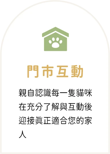 門市互動：親自認識每一隻貓咪，在充分了解與互動後迎接真正適合您的家人