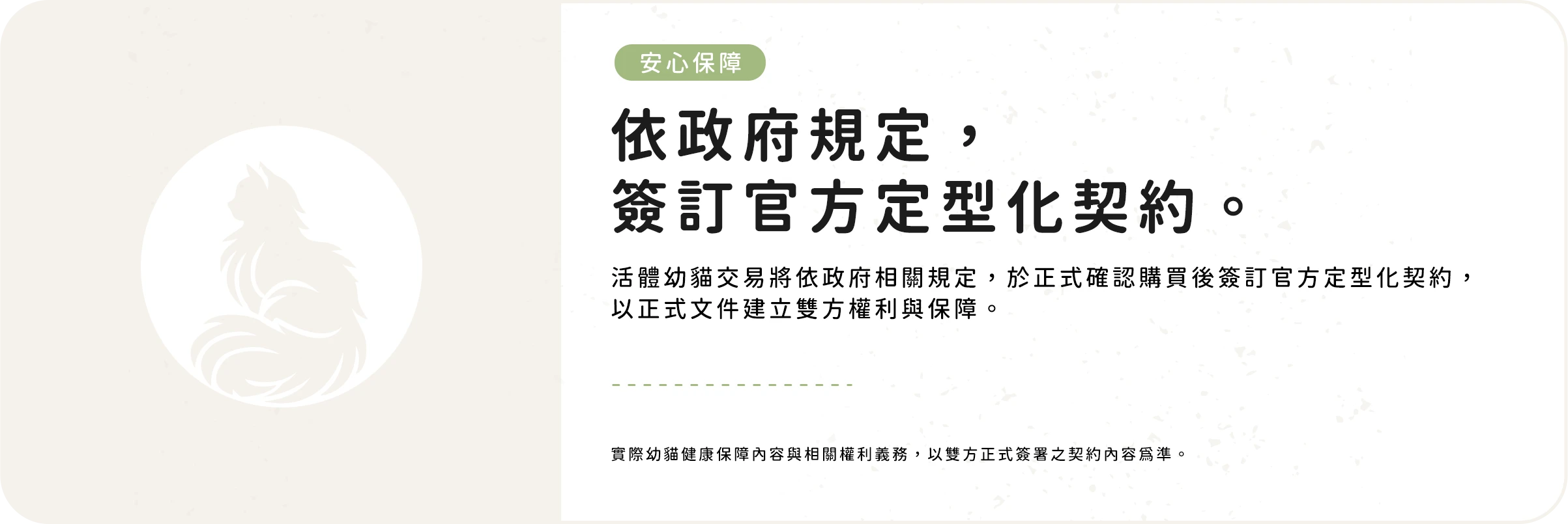 樹貓幼貓健康保障